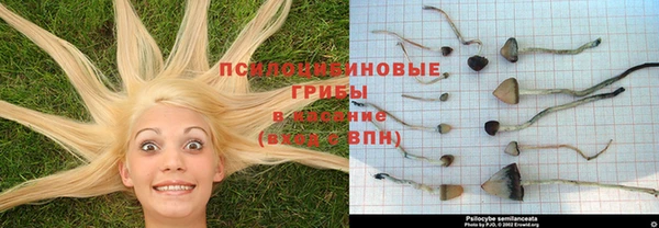ECSTASY Алексеевка
