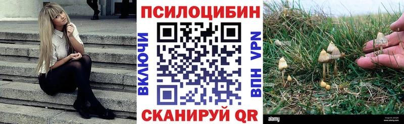 Псилоцибиновые грибы ЛСД  Ветлуга 